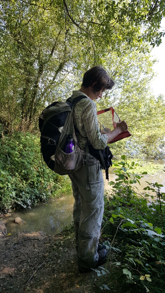 photo of GWT Survey and Monitoring Coordinator, Dr Kathy Meakin, at Woorgreens reserve in 2018, taking notes on a clipboard
